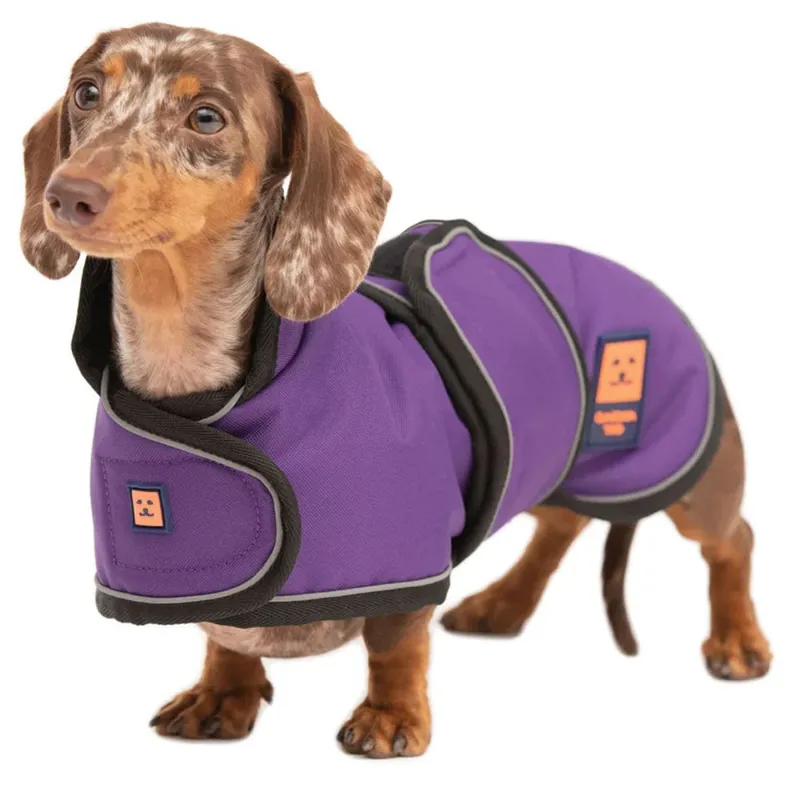 Ginger Ted Dachshund Dog Coat