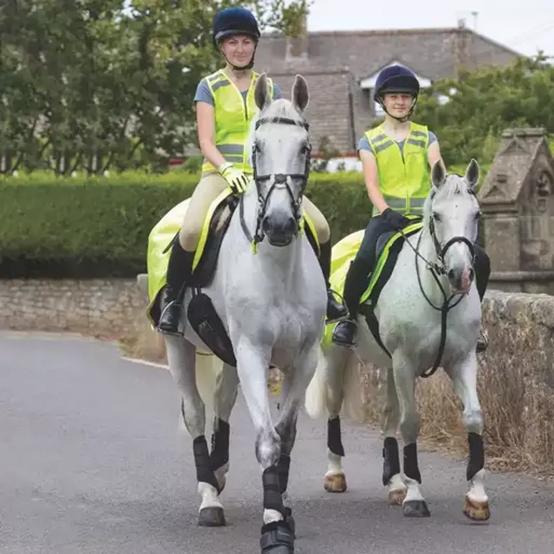 Equi-Felctor HI VIZ Wrap Around Exercise Sheet Yellow-1