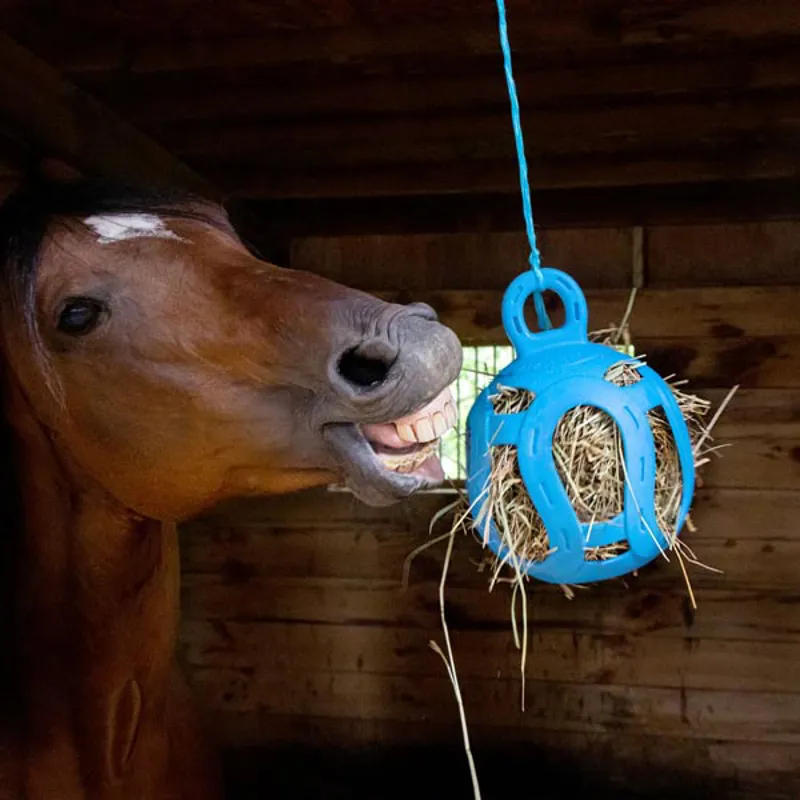 Horsemans pride Jolly Hayball 8in Blue-2