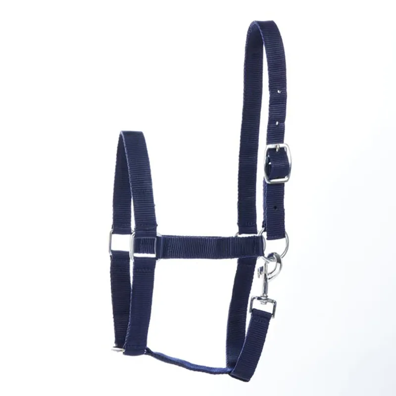 Elico Bolton Headcollar Navy