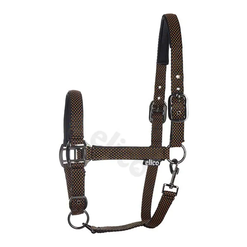 Elico Bowness Headcollar Black/Orange