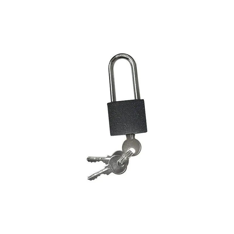 Hippotonic Padlock Gold