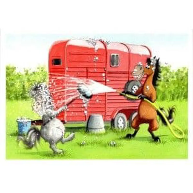 Spartan Hosing Down Card