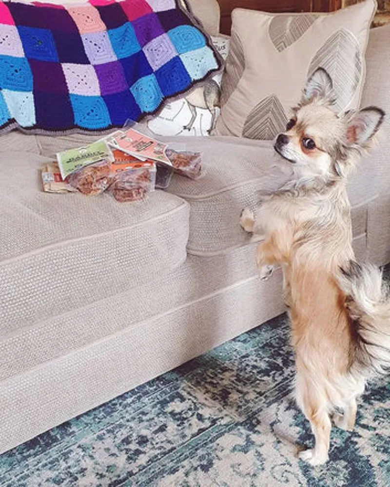 JR Pet Products Pure Duck Training Treats 85g-4