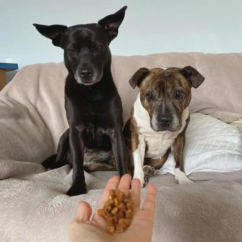 JR Pet Products Pure Chicken Training Treats 85g-3