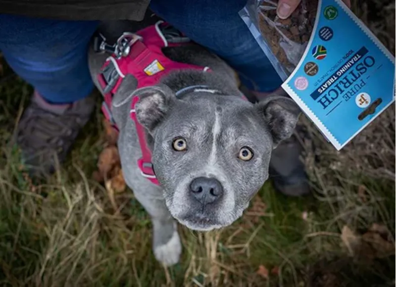 JR Pet Products Pure Ostrich Training Treats 85g-2