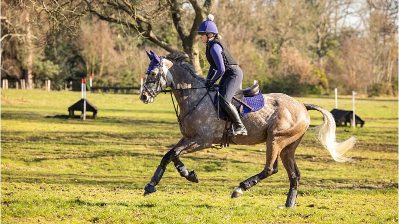 LeMieux Suede GP Pad Ink Blue-1