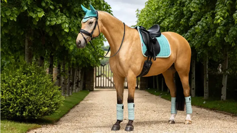 LeMieux Suede Dressage Square Lagoon-1