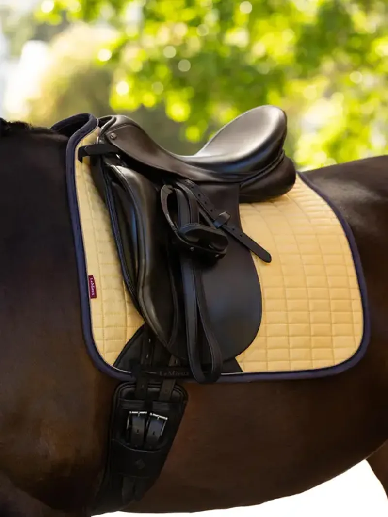 LeMieux SS25 Suede Dressage Square Mimosa-2