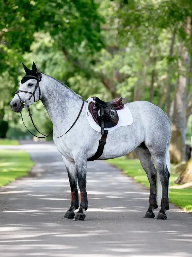 LeMieux Suede GP Pad White Large-3