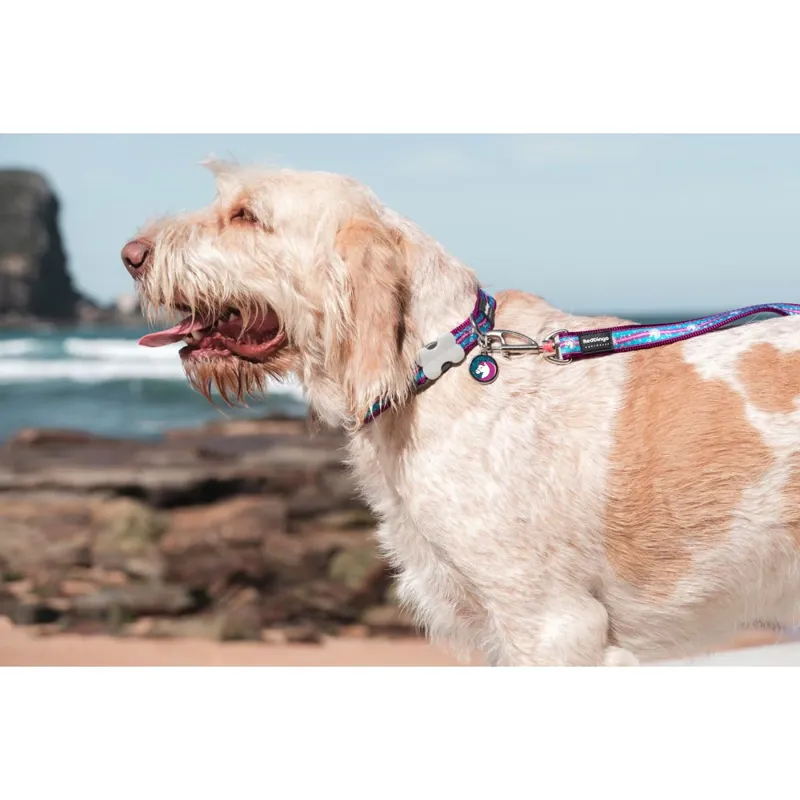 Red Dingo Dog Lead Unicorn Purple-2