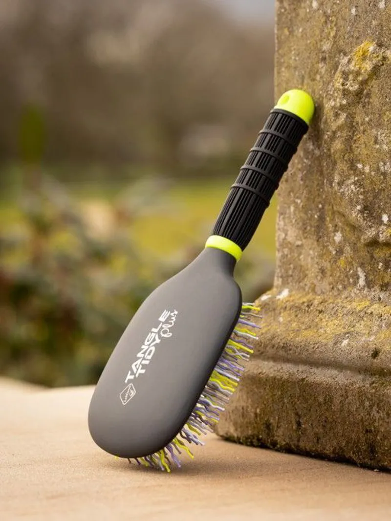 LeMieux SS23 Tangle Tidy Kiwi