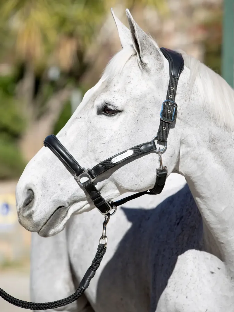 LeMieux Capella Headcollar Black-2