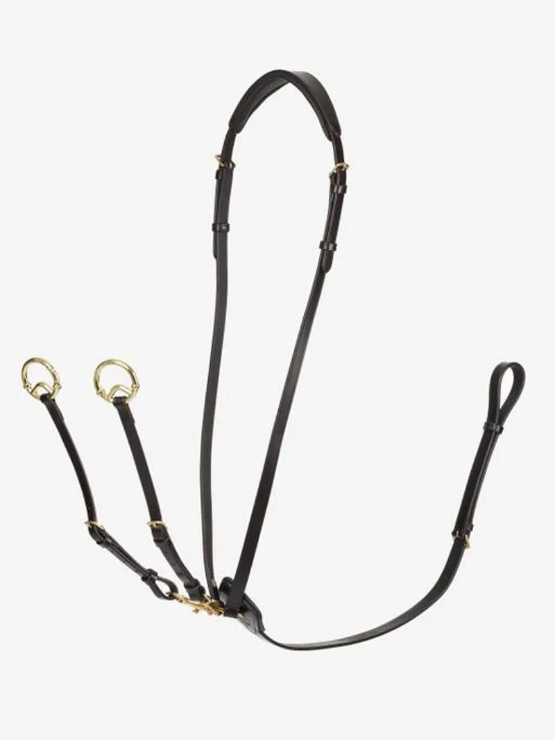 LeMiuex Kudos Running Martingale Brown/Brass