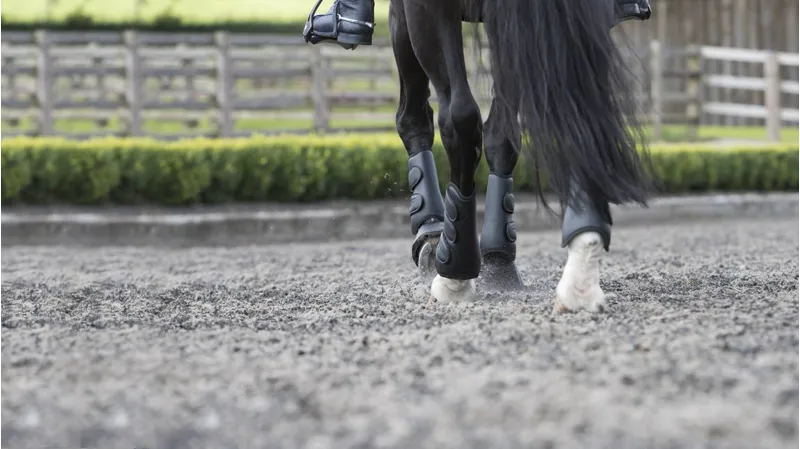 LeMieux Schooling Boots Black-2