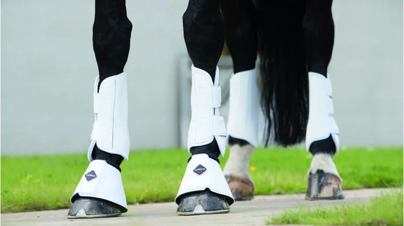 LeMieux Schooling Boots White-2