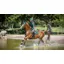 LeMieux Suede Close Contact Square Hunter Green