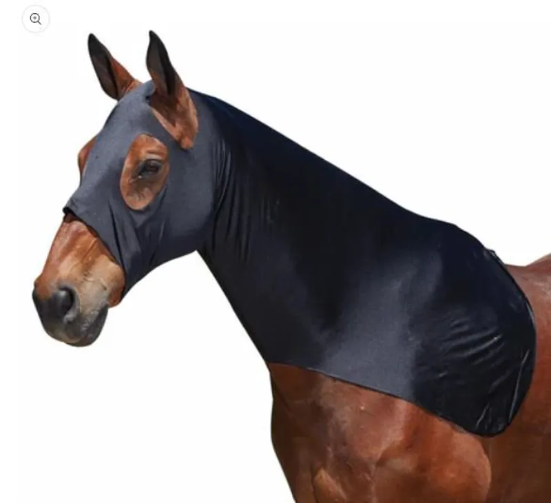 Lycra Hood Full Face pony