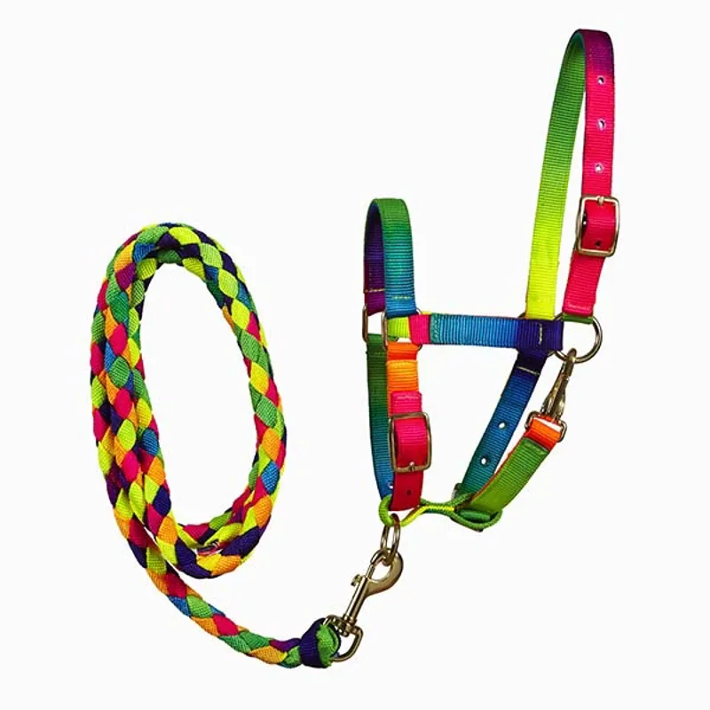 Matterdake Headcollar set Foal rainbow