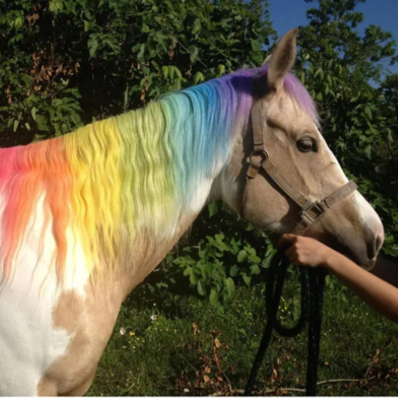 Pony Chalks Pack of 24