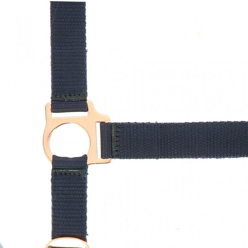 Norton Rose Gold Headcollar and lead rope Navy-1