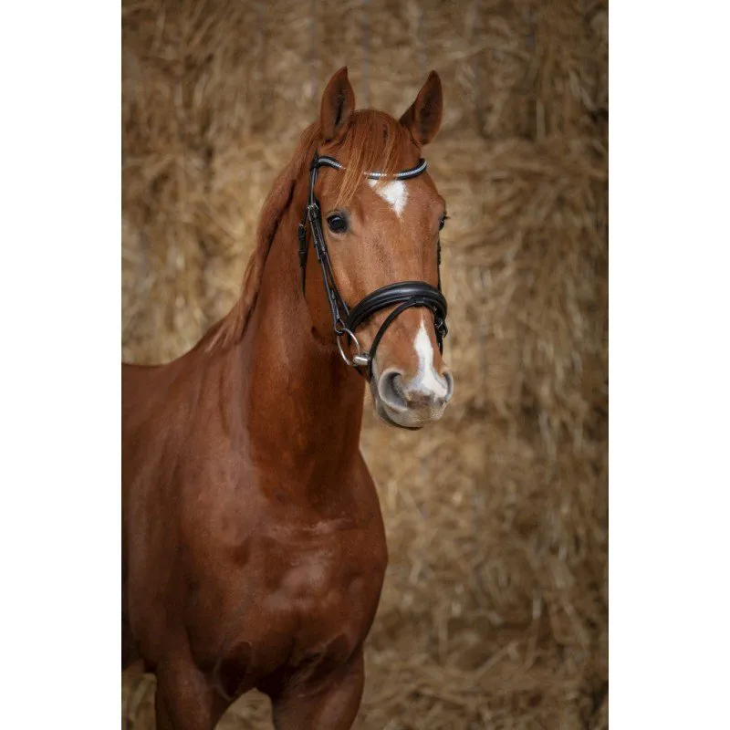 Norton Pro Diademe Bridle Black