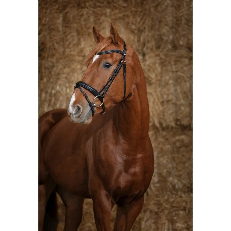 Norton Pro Gravure Bridle Black