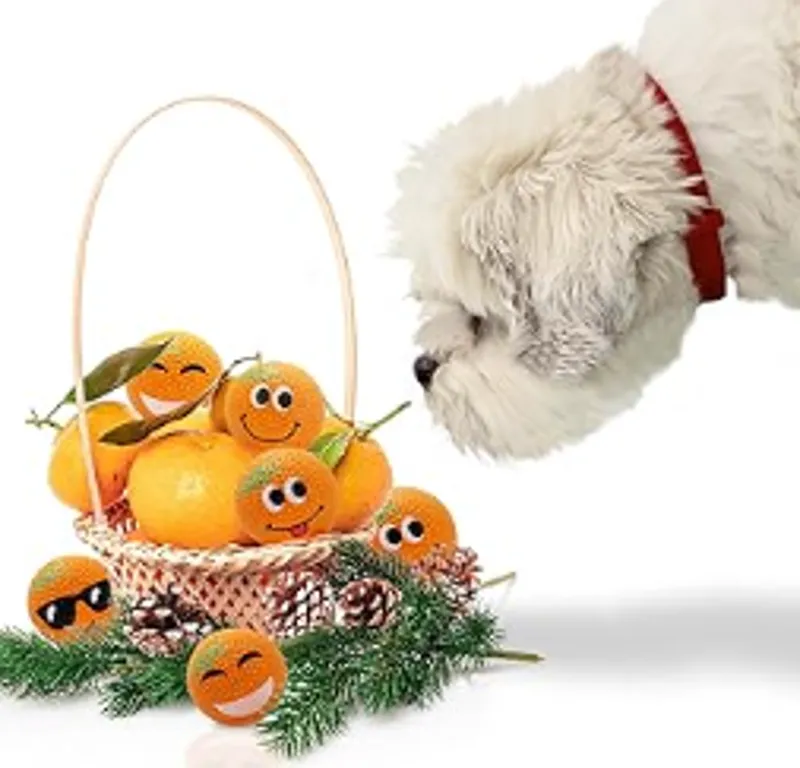 Sportspet High Bounce Dimple Mandarin Balls 6pk