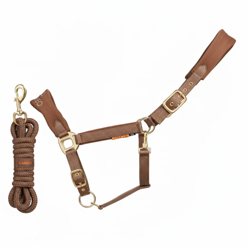 Cameo Suede Elite Headcollar Mocha Pony