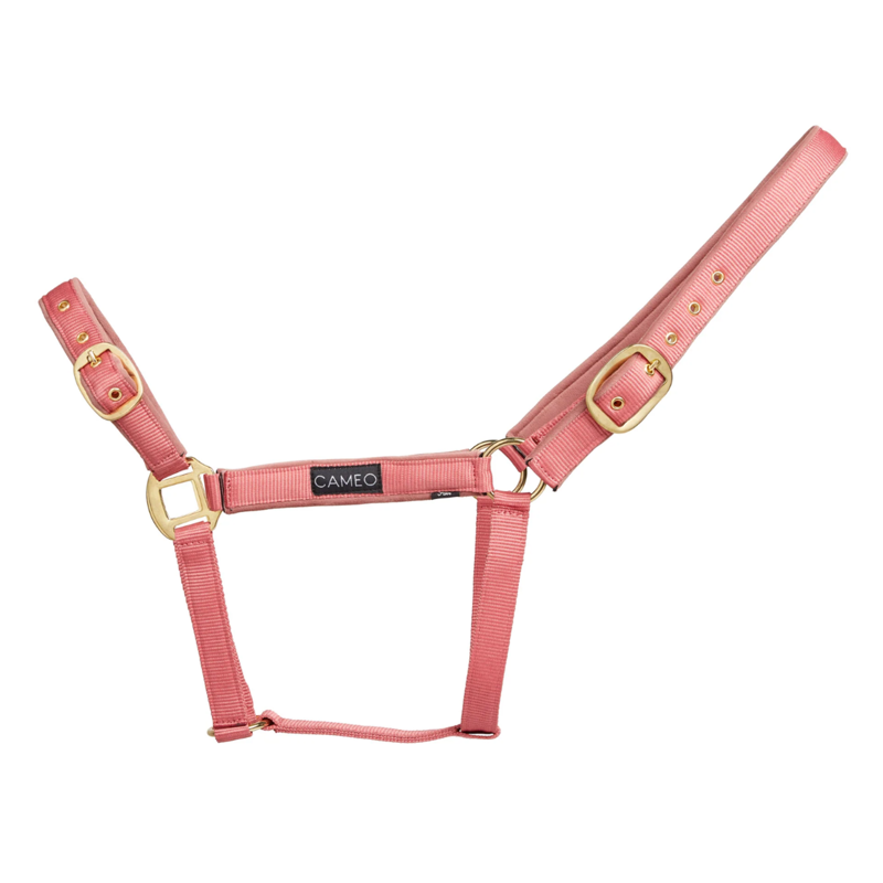 Cameo Suede Padded Headcollar Dusty Pink