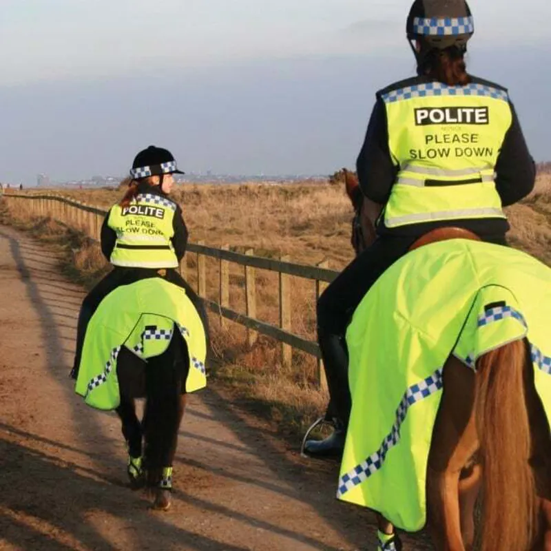 POLITE Hi Viz Horse Summer Sheet