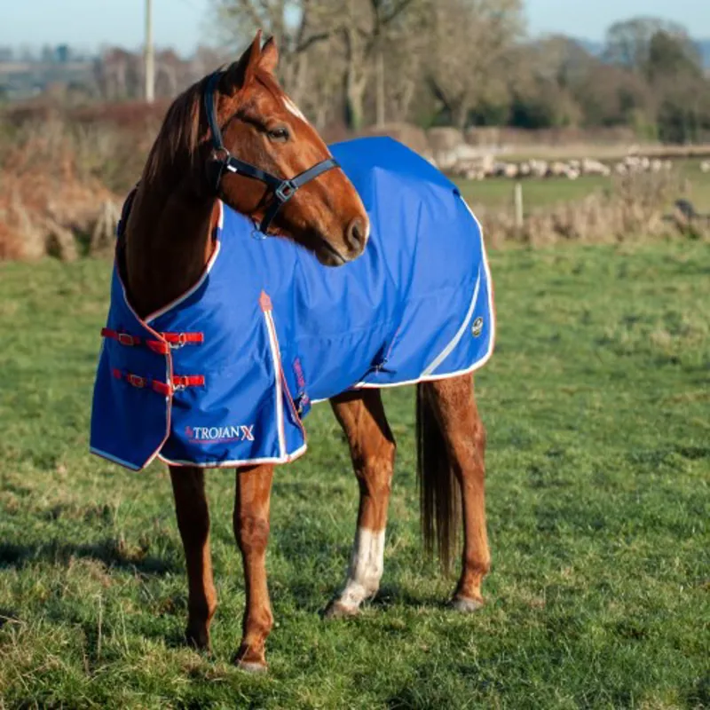 Gallop Trojan Dual set 200gm Royal/Red-1