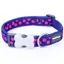 Red Dingo Spot Collar Blue And Pink