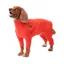 Ginger Ted 4 Leg Cosy Fleece Jumper Red