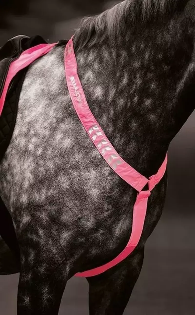 EQUI-FLECTOR Breastplate Pink