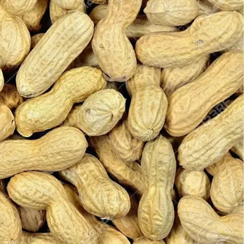 Monkey Nuts in Shells 12.5kg