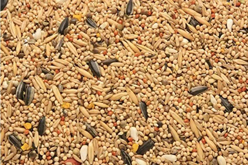 Skygold Cockatiel and Parakeet Cage and Aviary Food 20 kg