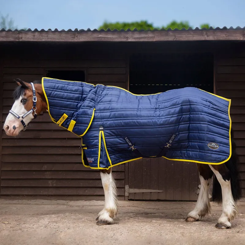 TROJAN 200g Combo Stable Rug Navy Yellow