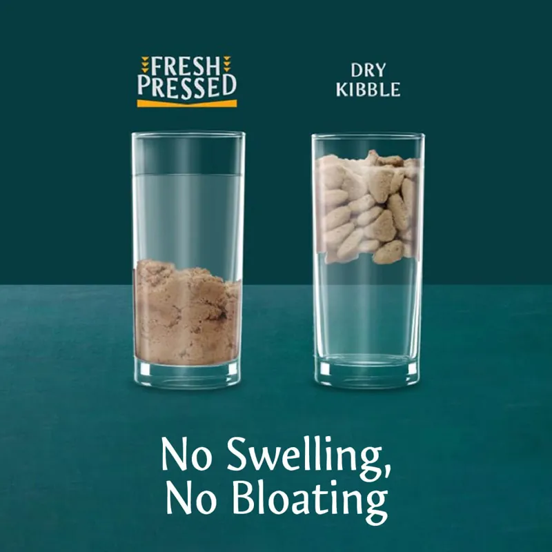 Tribal Cold Pressed  Adult Chicken 2.5kg-4