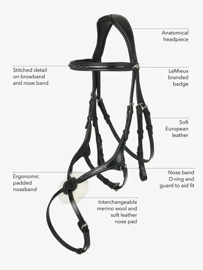 Kudos Grackle Bridle Havana-5