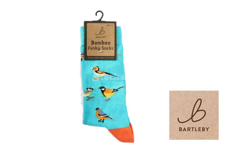 Bartleby Funky Bamboo Sock Garden Birds UK4-7