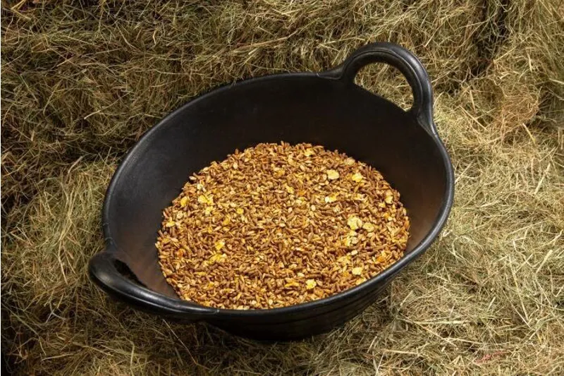 Spillers Stud and Youngstock Mix 20kg-1